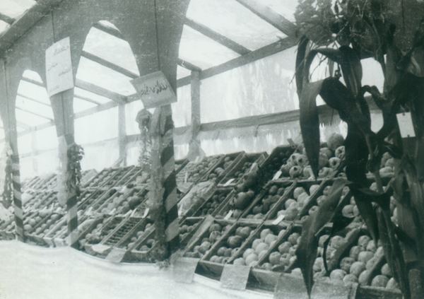 Agricultural Exhibition — 125.jpg
