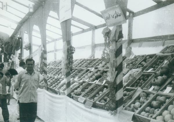 Agricultural Exhibition — 136.jpg