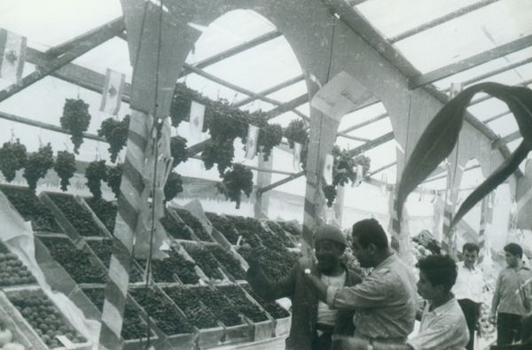 Agricultural Exhibition — 141.jpg