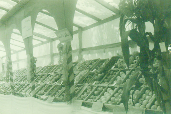 Agricultural Exhibition — 25.jpg