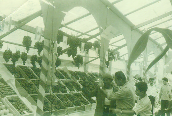 Agricultural Exhibition — 26.jpg