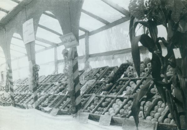 Agricultural Exhibition — 85.jpg