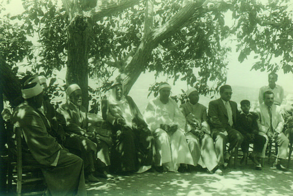 Group Portraits & Receptions — 13.jpg